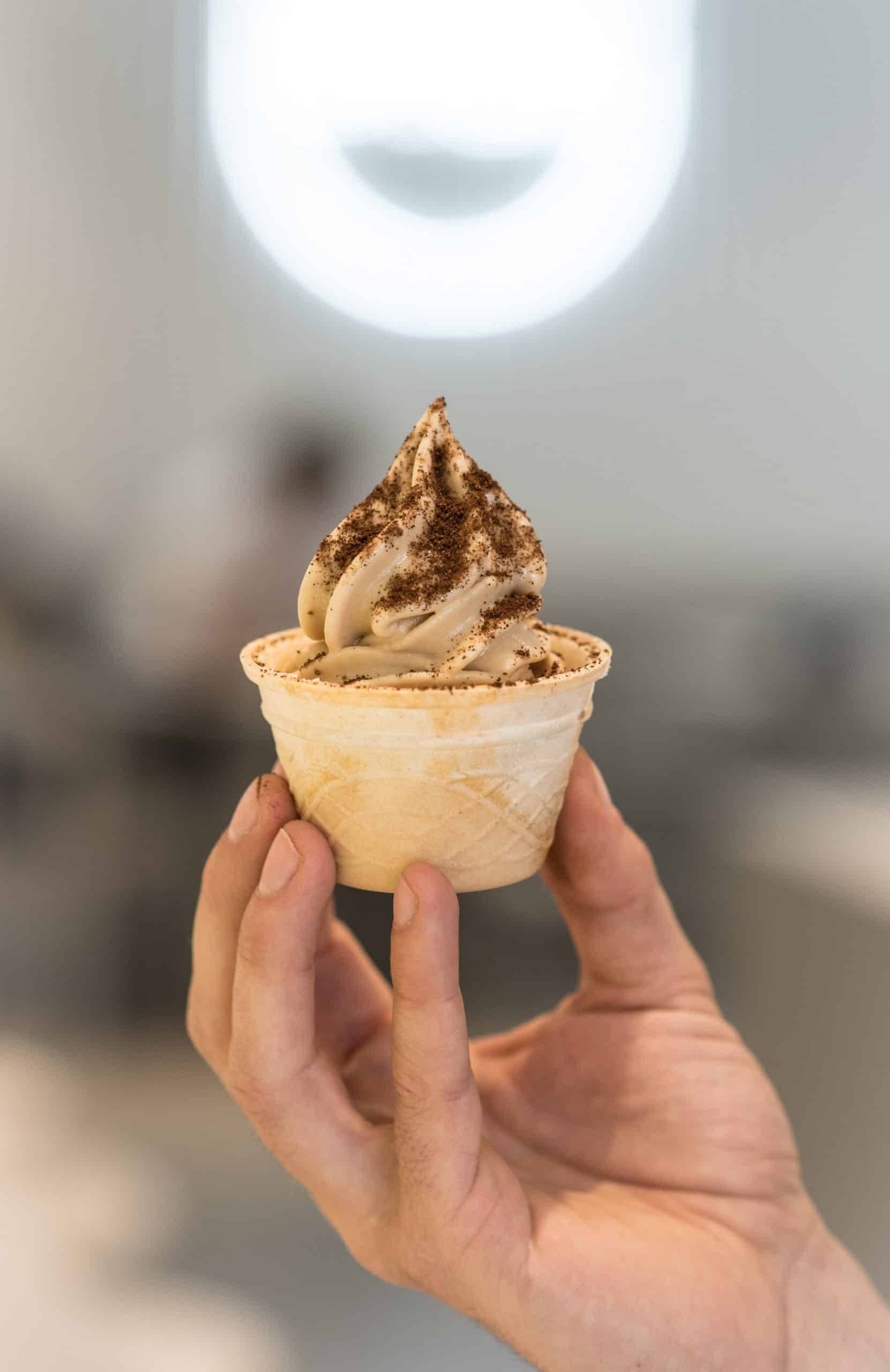 Ansicht eines Eis