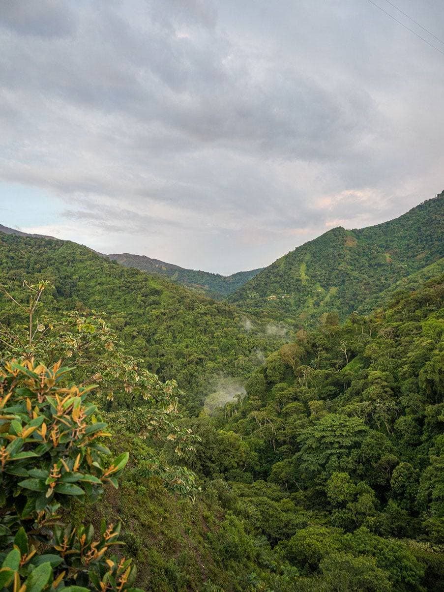 Aussicht auf die grüne Landschaft