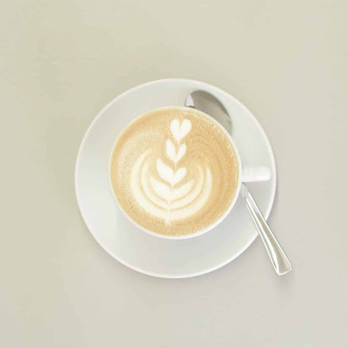 Latte Art Professional